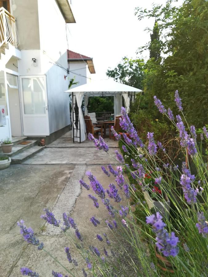 Lili Apartment In Zadar Pet Friendly, Free Parking Екстериор снимка